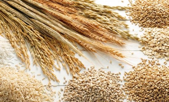 Виды зерновых культур